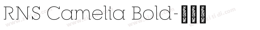 RNS Camelia Bold字体转换